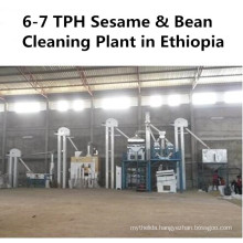 Lentils Chickpea Sesame Soybean Grain Seed Cleaning Plant (Agricultural Machinery)